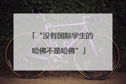 “没有国际学生的哈佛不是哈佛”